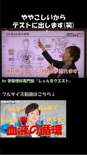 【理科のコツ「血液の循環」】動脈と静脈、テストに出るのは“肺動脈・肺静脈”【受験理科専門塾しゅん吉クエスト】