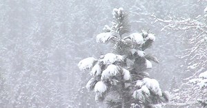 City of Lodi declares snow emergency ahead of Saturday storm