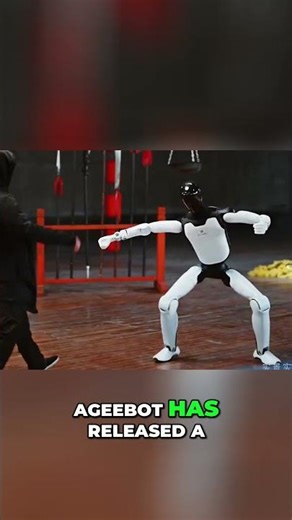 AGIBot's A3 Robot Chinese Style Acrobatics & Boxing Showdown!