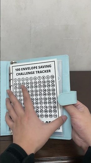100 envelope savings challenge: a step-by-step guide#savingschallenge #100envelopesavings