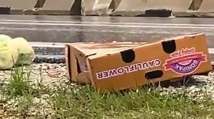 27K views · 179 reactions | #KOAMupdate exit ramp reopened. Remember ALL on ramps closed TFN in this construction zone. ➖➖➖➖➖➖➖ #KOAMtrafficalert I44 exit 6 eastbound as the cauliflower tractor-trailer is being recovered. It crashed in rains on Saturday >> BIT.ly/3E8I9nE — Construction through that area so use caution as workers are present. Santa Fe Towing are on the scene. | Joplin News First | Facebook