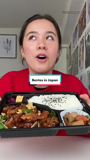 Exploring Japanese Bento Lunch Boxes in Tokyo