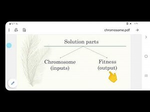 genetic algorithm/ the chromosome