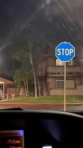 Hawaiian Blue Stop Signs