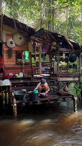 Peaceful Morning at Jungle River House