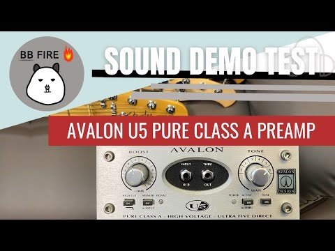 AVALON U5 PURE CLASS A With MUSICMAN stingray XOTIC XJ-1T Fender p bass test demo