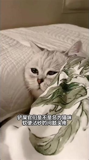 什么，运营价格上次错了，直播间拍1发9???#BARF霸弗#科学养宠攻略 #养猫人 #霸弗丛林食谱