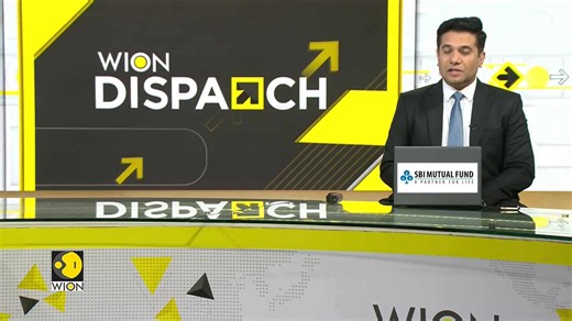 California: Man in Bear Costume Fake Attacks on Cars to Scam Insurance, Say Officials