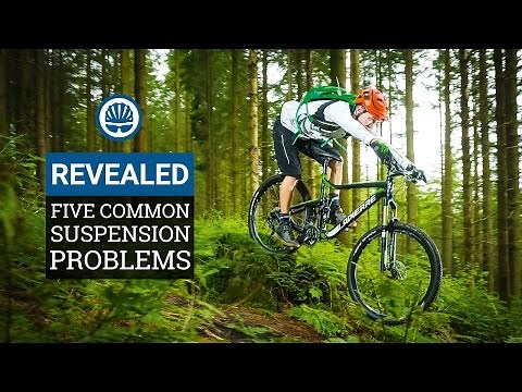 Five Common Suspension Problems (& How To Fix Them)