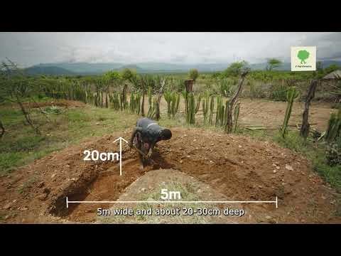 SEMI CIRCULAR BUNDS - Water Conservation for Drylands - Vi Agroforestry SALM Video Tutorials 13/15