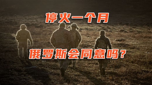 RT军事专家解读：俄罗斯会同意停火30天的协议吗？