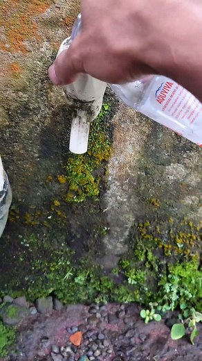 514K views · 7.8K reactions | Painting using bleach  Campur air #art #bleachart #painting #customtshirts #kofgalri | Qoffi Ulinnuha | Facebook