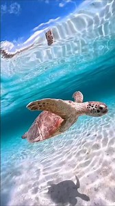 Maldives: The Most Interesting Facts #travel #facts #trip