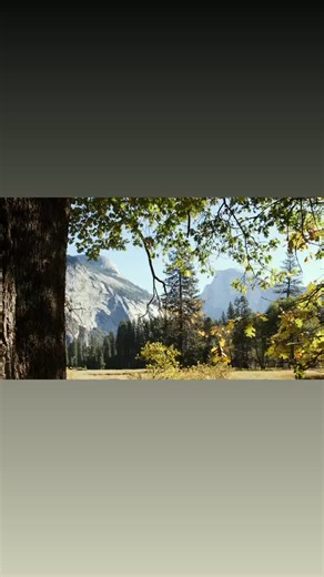 President Theadore Roosevelt’s Great-Great Grandson was interviewed during this documentary video in Yosemite years back to promote National Park environmental awareness. We set up the talk at the service road area near Residence-1 and this film segment was incorporated into their primary National Park themed film. I don’t recall the title of the film, sorry. I work with 60-80 film crews a year. 🫠🤗🤲 #yosemite #people #famous #talent #actor #filmcrew #filmphotography #filmming #video #videopro