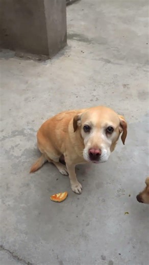 Хотел как лучше, а получилось как всегда