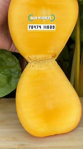 107K views · 803 reactions | Must-Have Exotic Mango Varieties for...