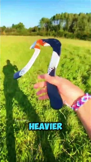 The Deadly Science Behind Boomerangs 🪃🌀 #foryou #shorts