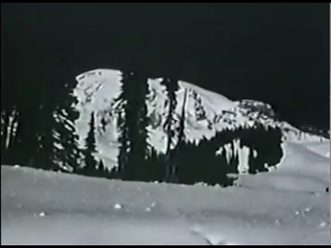 Overlords of the UFO