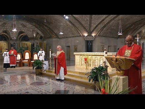 The Sunday Mass - Palm Sunday - April 14, 2019