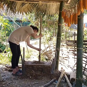 99K views · 1.6K reactions | Butterfly NN on Reels | Facebook