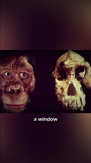 How the Fossil Record is Evidence of Evolution #science