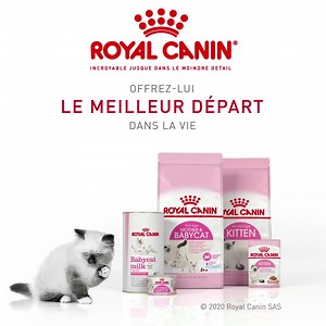 Offrez à votre chaton le meilleur départ dans la vie en soutenant sa croissance & santé avec une alimentation saine ! Découvrez notre gamme d’aliments complets, adaptés pour chaque chaton 👇 | Royal Canin Réunion