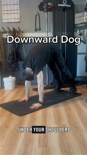 Downward Dog - Exercise Demonstration