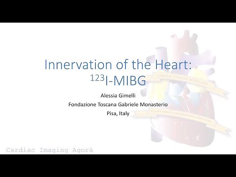 Innervation of the Heart: 123I-MIBG