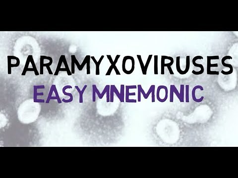 Paramyxoviruses - Easy Mnemonic