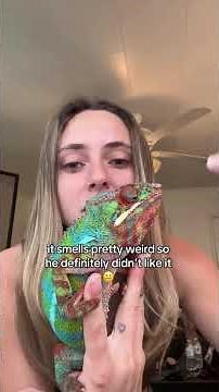 Update on Sprinkles- First and foremost,the vet called & he doesn’t believe the cells are cancerous.