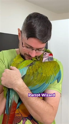 Great Green Macaw Project Complete