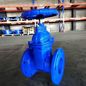 [Hot Item] Double Expanding Gate Valve Double Flanged Resilient Seal Gate Valves