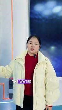 Preserving Beauty & Structure: The Split Solar Solution for Wooden Villas