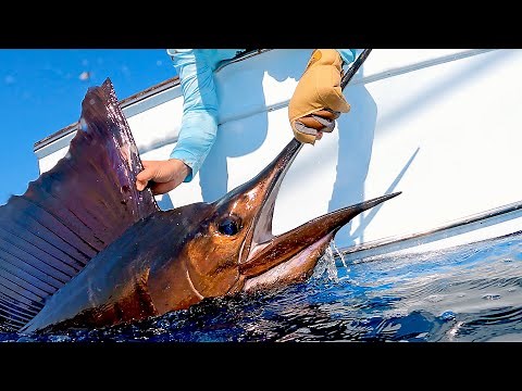 Fishing for MONSTER Sailfish in Guatemala