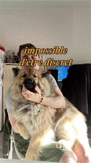 Seul étranger dans mon quartier à Tân Bình (Saigon / Ho Chi Minh City) : je croise presque aucun étranger… mais moi, on me repère en 2 secondes. Et avec mon Eurasier, c’est encore pire : certains locaux me font déjà signe quand on passe 😅 Anecdote vraie : on achète un canapé dans un magasin près de chez nous, livraison prévue… et après la vente, la vendeuse me demande direct : “Le chien va pas griffer le canapé ?” (elle m’avait déjà vu le promener plusieurs fois). Si tu veux t’installer dans un