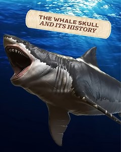 18K views · 359 reactions | Bizarre Archeological Discoveries of the Century | Origins Explained | Facebook