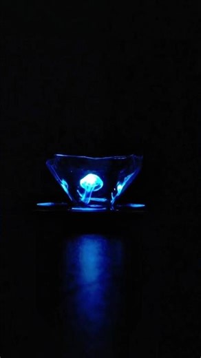 3D Hologram projector / 3D Hologram Projector working model