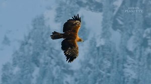 275K views · 9.2K reactions | 女 SOUTH SUDAN – Where Only the...