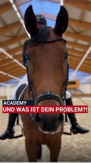 Und was ist dein Problem?👀 An was arbeitet ihr gerade mit euren Pferden? Schreibt es in die Kommentare! In unserer Academy findet ihr eine Menge Lehrvideos zum Thema Dressur- vielleicht ist ja ein Video dabei, das euch helfen kann! 🎥 Hier findet ihr unsere Dressur-Videos: watch.clipmyhorse.tv/Academy_Dressur #clipmyhorseacademy #dressur | ClipMyHorse.TV Deutschland