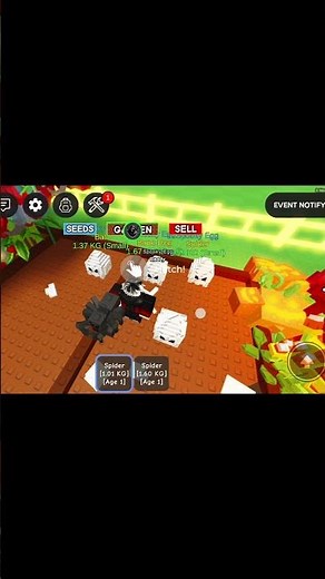 Roblox hatching eggs #roblox #pets #script #scripting