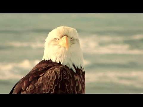 EAST - SZÉL REPÍTSE LELKEM (2016)