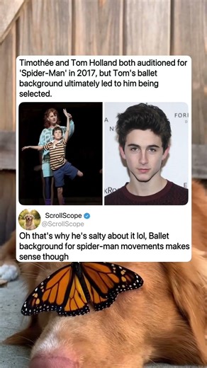 The ballet training that made Spider-Man possible 🕷️ #marvel #didyouknow #actors