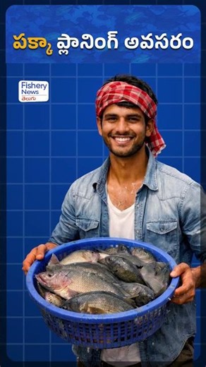 🦐 Aquaculture Business Blueprint for Beginners | Fishery News Telugu
