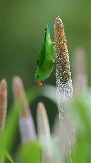 Say this prayer and receive God's favor today!