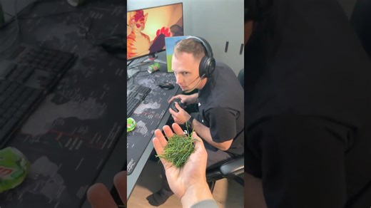 Helping a gamer touch grass