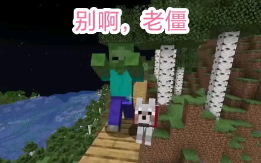 Minecraft：指令，时间静止，拯救伙伴！