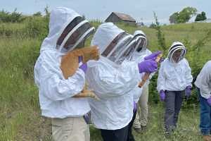 Michigan honey bee veterinarians contact list