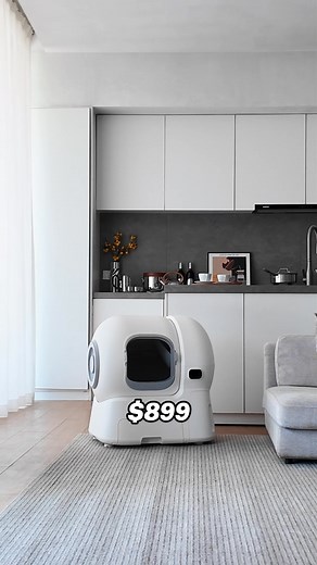 14 reactions · 3 comments | Black Friday Deal is ON! Now Up to 32% OFF Say goodbye to daily scooping — this self-cleaning litter box does it all for you. ✅ Designed for large cats ✅ Auto sand refill ✅ 14-day waste storage ✅ Easy to clean, totally hands-free! Going on a Christmas trip? No worries about your cat’s business. Free shipping insurance + 1-year warranty + 3-month trial! | Homerunpet | Facebook