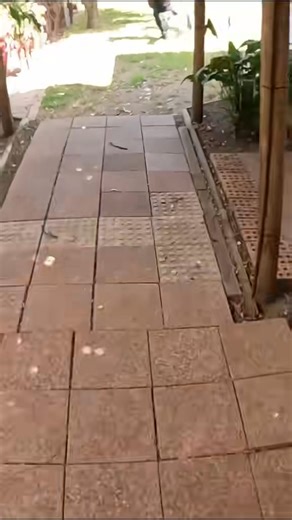 WATCH: Two charged over plot to import $63m coke through Sydney Airport. More details: https://www.dailytelegraph.com.au/truecrimeaustralia/police-courts-nsw/two-men-arrested-after-raptor-squad-uncovers-alleged-63-million-cocaine-import-linked-to-sydney-shooting-investigation/news-story/1c05f0021eba20f1d31d7c0c9a69fa9ai | Daily Telegraph