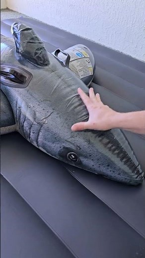 Inflatable Shark Filled with Water